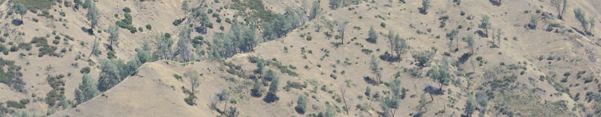 banner image: California’s Interior Coast Range at the Cache Creek Gorge